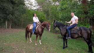 For Sale | 4 Coonardoo Crt, Wongawallan