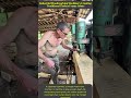 Step By Step Guide To Creating Heavy Duty Wood Joinery