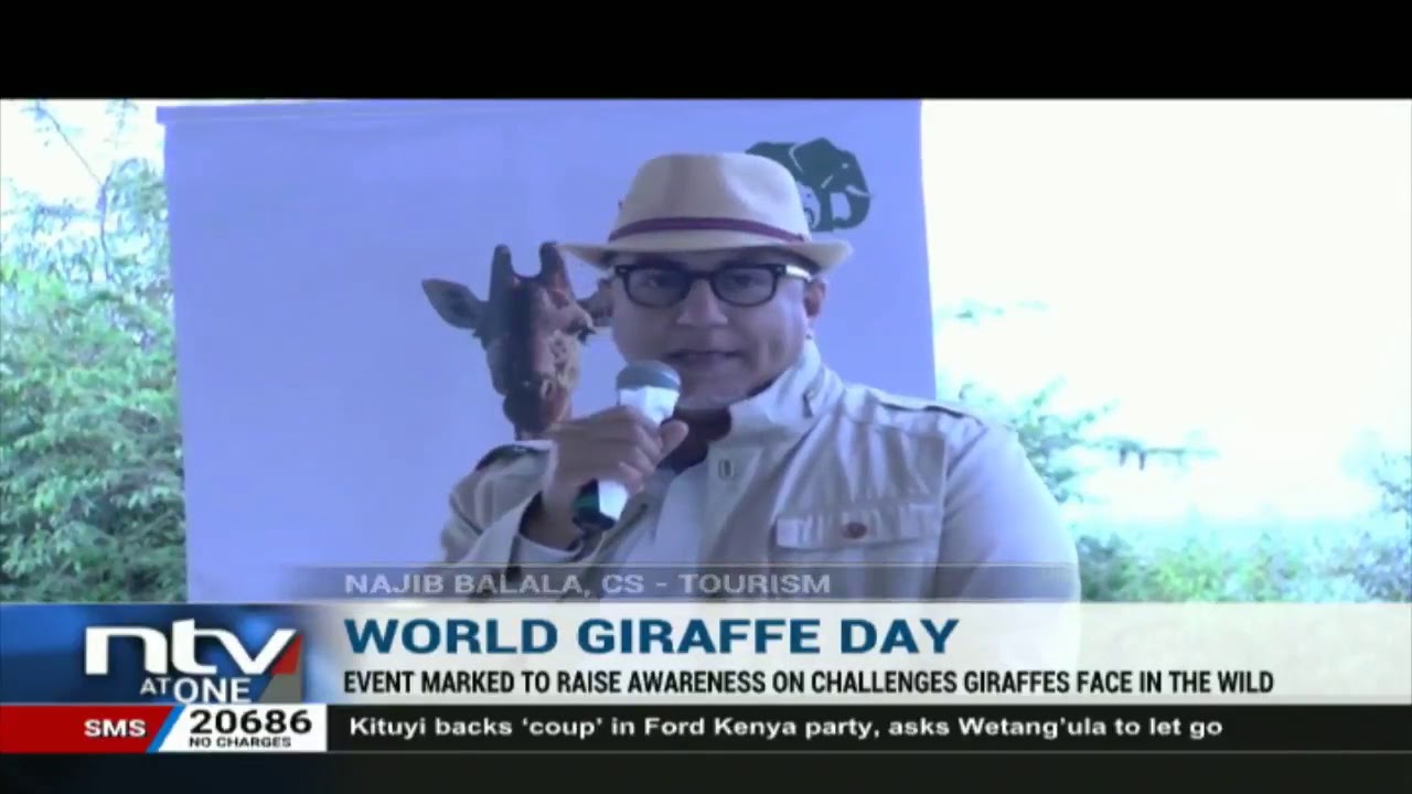 Surveys show several Kenyans unknowingly feed on giraffe meat