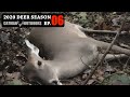 Transition from Crops to Acorns - Doe Down! - 2020 Deer Season Ep 06