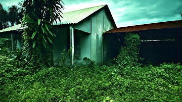 Bức Tranh Bí Ẩn Trong Căn Nhà Hoang Rậm Rạp, Nhiều Đời Chủ Nhưng Không Ai Dám Ở | Cảnh Tê 