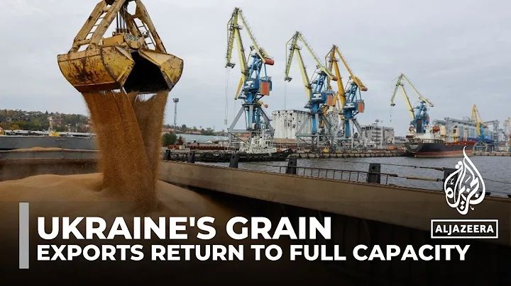 Ukraine's grain exports reach pre-war levels but challenges remain - DayDayNews