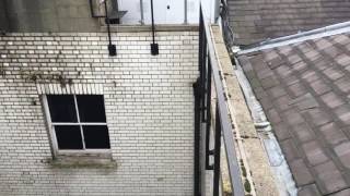 Pigeon netting job London W1