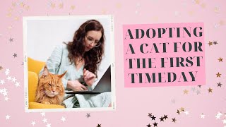 10 Questions You Must Answer Before Adopting a Cat