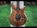 Custom guitar Build from scratch “Neck-through body”