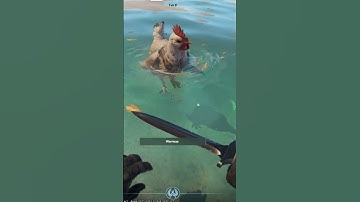 CSGO 2 Chicken walking on the water || #csgo2 #csgo #youtubeshorts #shorts