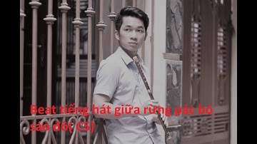 Beat tiếng hát giữa rừng pác bó ( sáo đô)