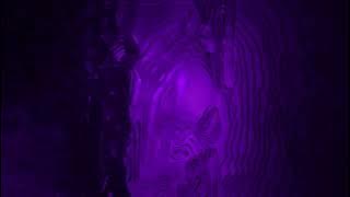 Ufo361 - NUR SIE DARF