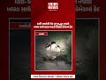 અમરેલી  બચ્ચા સાથે લટારમારતી સિંહણ કેમેરામાં કેદસિંહણનો વીડિયો સોશિયલ મીડિયામાં વાયરલ || ARV NEWS ||