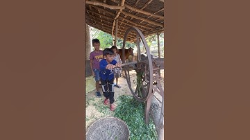 गाँव में करी मस्ती 😜 || My First Vlog In Village || Bot Amar 99 #shorts #myfirstvlog #gaon #village