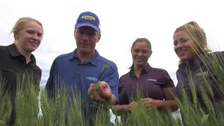 Applied Research | Crop Research Processing