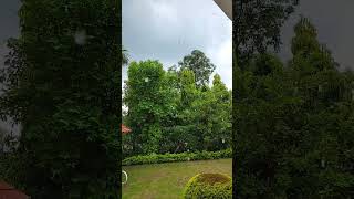 barish dehradun awsm neelishaagarwal