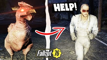 Fallout 76: 5 Strange Encounters You May Have Missed in the Wasteland