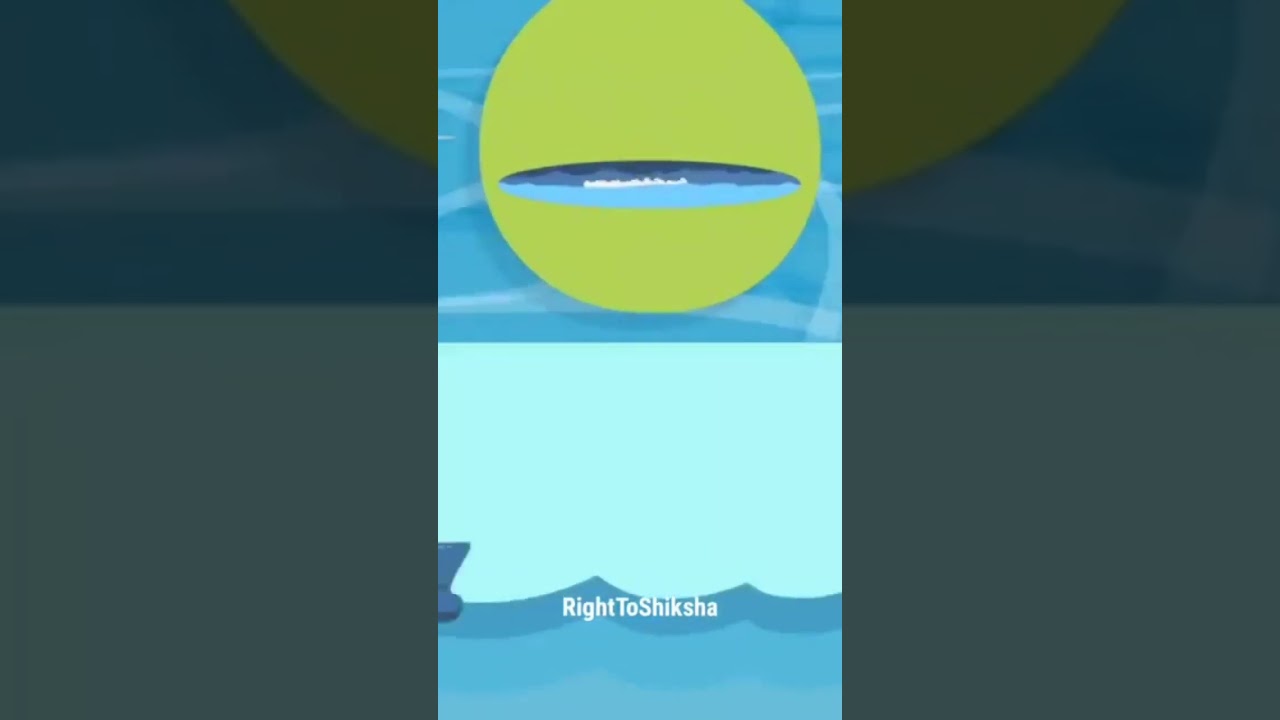 insurance company kaise check karti hai insurance dete time by professor of how