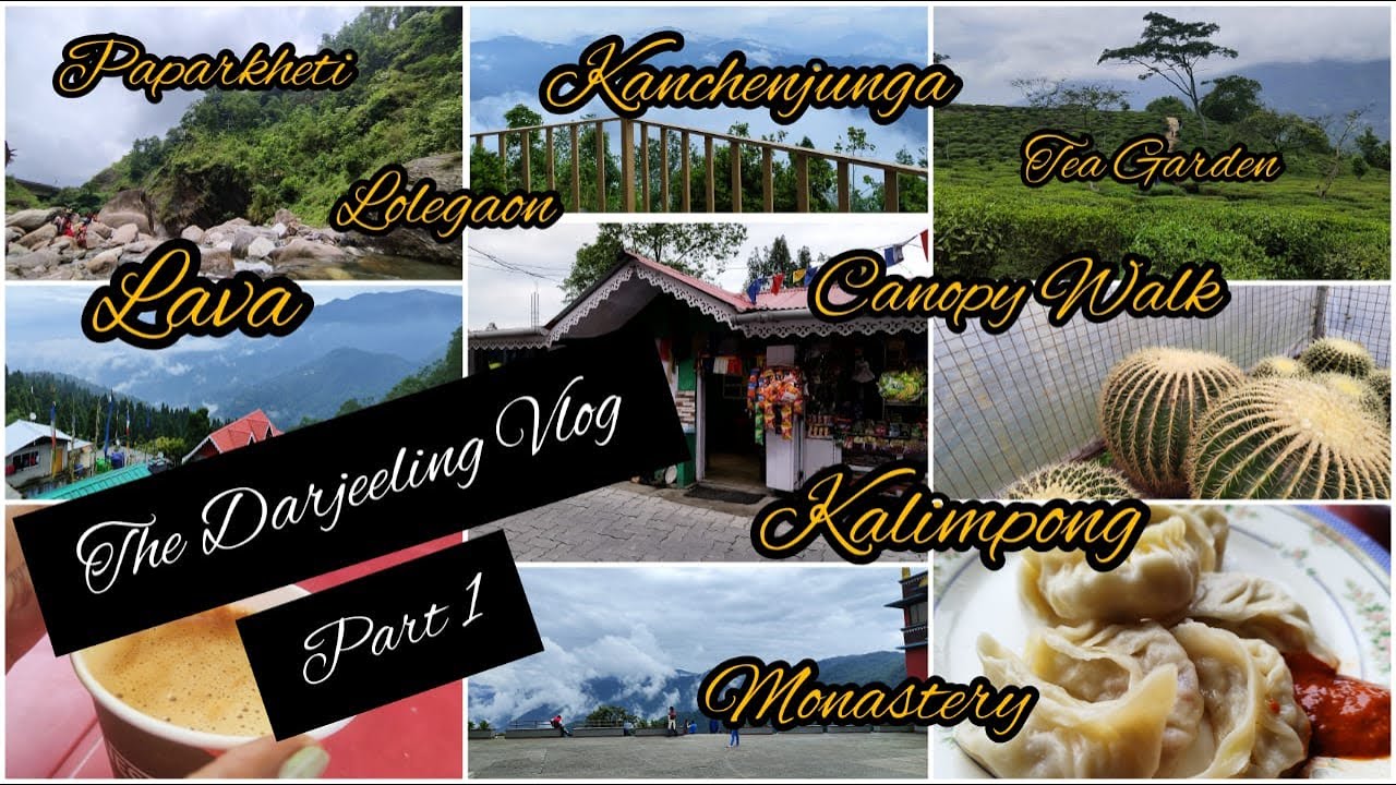 Travel Vlog | Darjeeling Tour Vlog 2022 | Darjeeling Tourist Places | Lava | Lolegaon | Kalimpong