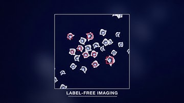 Olympus High Content Screening microscopy with Deep Learning