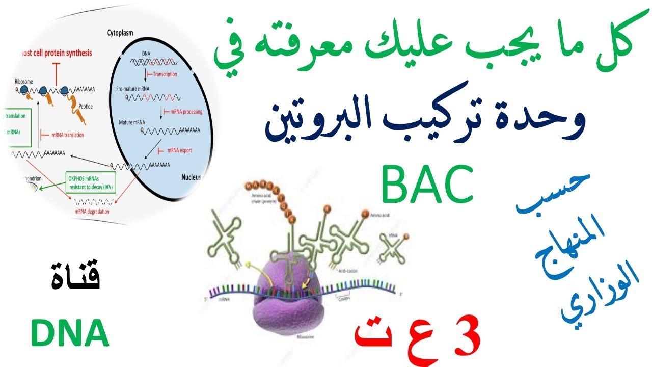 ملخص لدروس العلوم الطبيعية للسنة الثالثة ثانوي