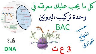 ملخص تركيب البروتين للسنة الثالثة ثانوي