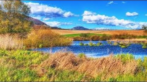 تلاوة مؤثرة خاشعة مبكية روعة  Quran (القرآن الكريم)