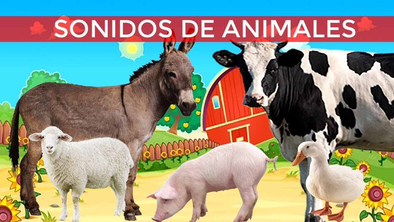 Sonidos de animales - Sonidos de los animales, ruido de animales para ...