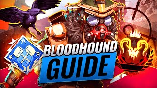 BLOODHOUND GUIDE! How to CARRY Your Team! (Apex Legends Guide to Bloodhound) OP LEGEND GUIDE