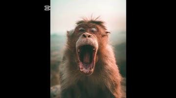 Why Do We Yawn… and Why Is It Contagious? #educationalvideo #evolution #funfacts #humanbody