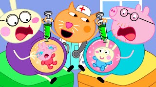Peppa Pigggg sad story at the hospital | Peppa Pigggg Funny Animation