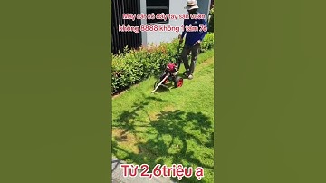 Máy cắt cỏ sân vườn đẩy tay 4 thì GX35.#maycatcodaytay #máycắtcỏ #sanvuon #gx35  #cắtcỏ #khungcatco