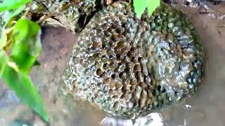 My Trip My Adventure