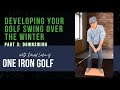 Developing Your Golf Swing to Improve Over the Winter, Part 3: Downswing - with One Iron Golf
