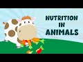 Nutrition in Animals Quiz