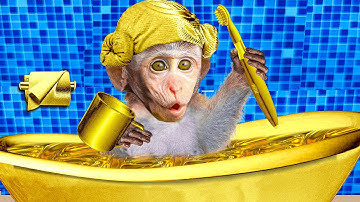 Baby Monkey Chu Chu Rescues a Stuck Duckling and Eats Ice Cream with Duck the Garden