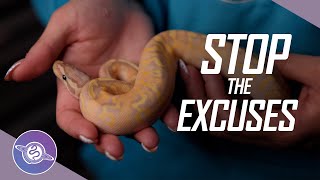 Building a REPUTATION in the Reptile Business | #ballpython #snake #reptiles