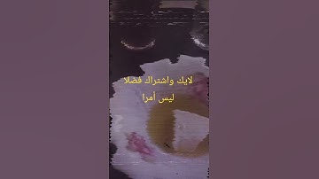 تلاوة ماشاء الله تبارك الرحمان فطورنا اليوم #اكسبلور
