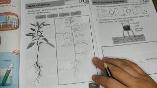 Science Year 3, Manipulative skills, Sketching. Sains Tahun 3 Melakar Science Year 3, Manipulative skills, Sketching. Sains Tahun 3 Melakar