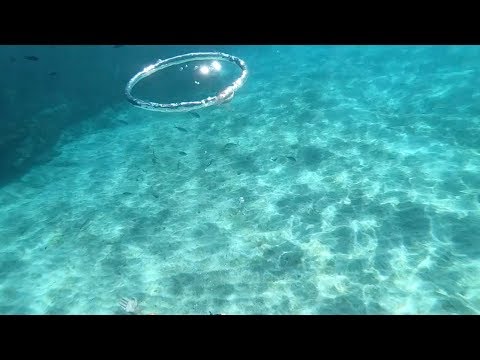 Striking Moment Jellyfish Gets Caught In Diver's Bubble Ring - Awe-striking footage shows a jellyfish getting 'trapped' in a bubble ring that was blown by a deep-sea diver. 