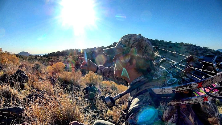 Arizona Archery Deer and Javelina Hunt 2021: Big Bucks Everywhere!