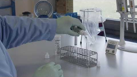 CorisBioConcept - COVID-19 Ag Respi-Strip - Use of sampling swabs (ES)