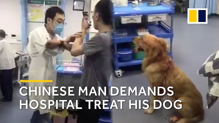 Chinese man demands hospital treat his dog - DayDayNews