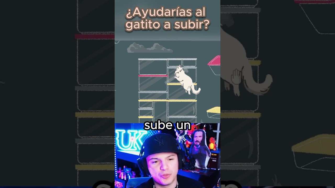 ¿Ayudarías al gatito a subir?