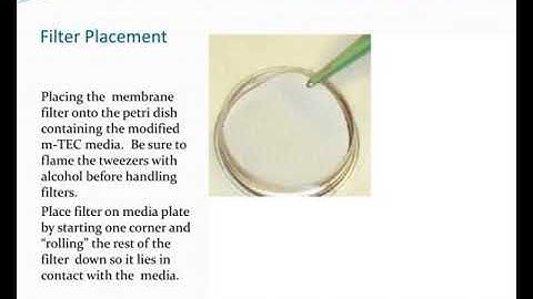 e coli determination by epa method 1603