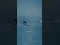 What if THE HATEFUL EIGHT was filmed vertically? 🎬 #shorts #film
