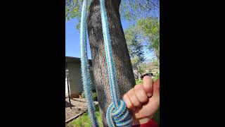 HOW TO CLIMB ROPE #blake #hitch #tree #safe #double #tech #skill #learn #edu #tutorial #entertainmen