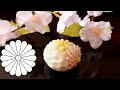 Wagashi Nerikiri Chrysanthemum like spring Redipe 　 和菓子 春色彩の菊の練り切りの作り方