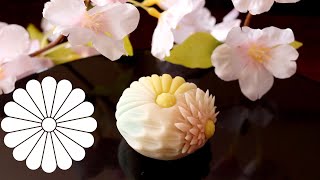 Wagashi Nerikiri Chrysanthemum like spring Redipe 　 和菓子 春色彩の菊の練り切りの作り方