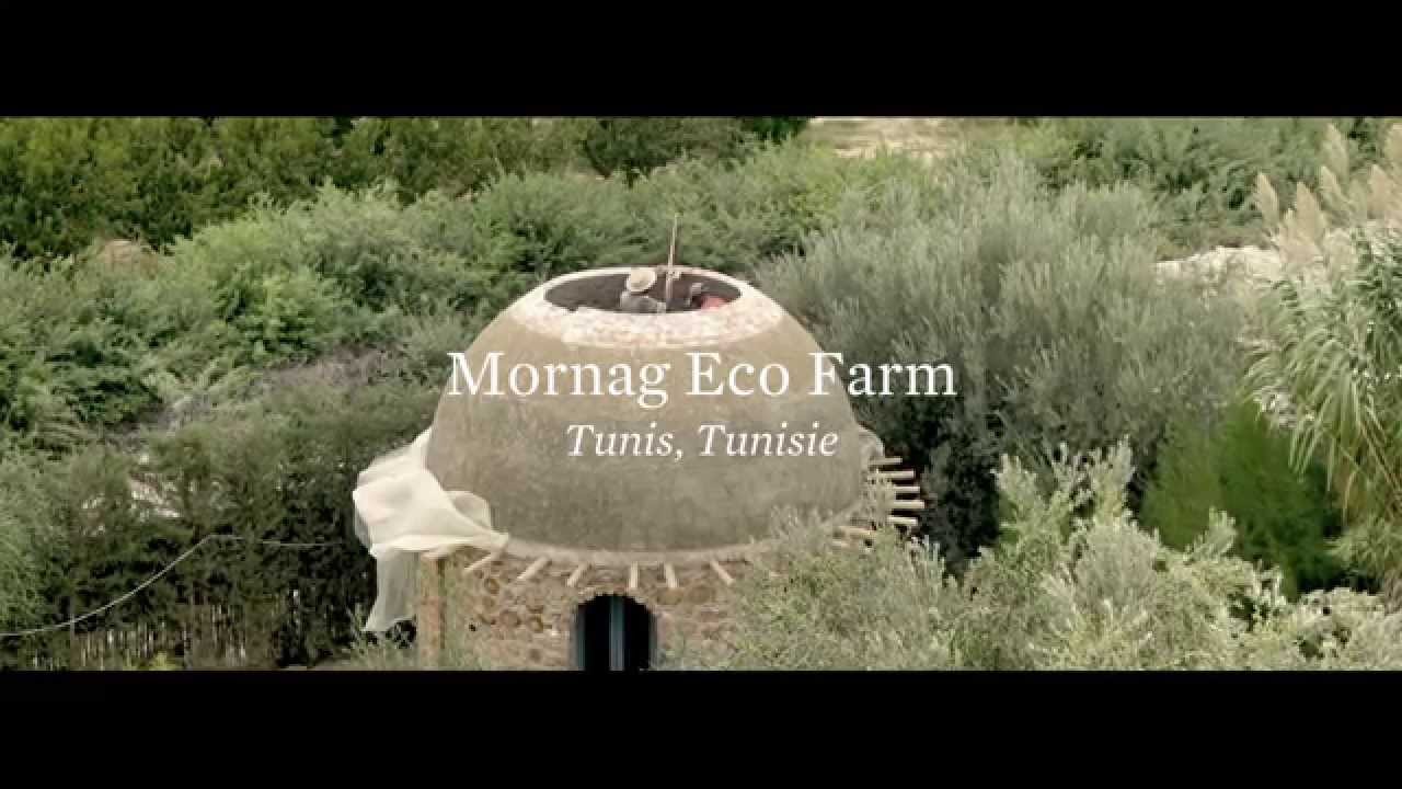 Mornag Eco Farm, une ferme écologique en Tunisie