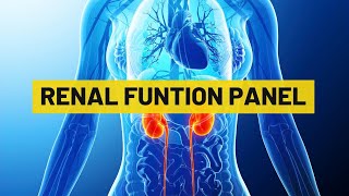 Renal Function Panel | My Lab Solution