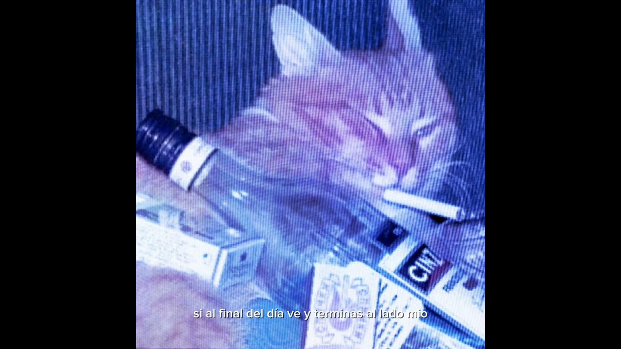 Leank  x Fyno- Siempre q te vas