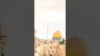 Salahuddin Ayyubi | Crusaders Se Takraav | Jerusalem Ki Vijay #History #shorts