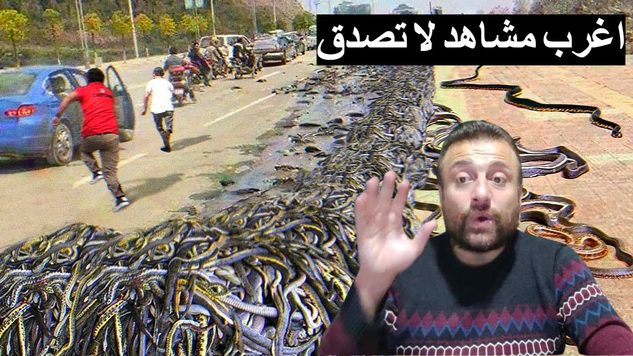 Latest Title & Thumbnail